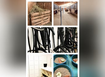 Einstellplätze frei 