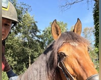 Praktikum und Ferien mit Pferd ,evtl, Ausbildung z.Pferdewirt Praktikum und Ferien mit Pferd ,evtl, Ausbildung z.Pferdewirt