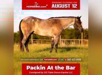 American Quarter Horse, Gelding, 7 years, 15.2 hh, Roan-Blue, in Weatherford, TX,