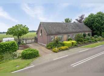 Property that offers plenty of opportunities for hobby or (semi)professional horse enthusiast!