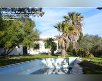 Ruhe pur - Finca in Vejer Ruhe pur - Finca in Vejer