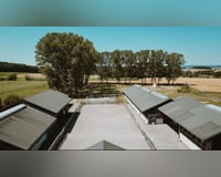 HÜBSCHES REITER-IMMOBILIEN IM ELSASS. HÜBSCHES REITER-IMMOBILIEN IM ELSASS.