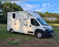 Dickenherr Pferdetransporter Hengstausstattung Dickenherr Pferdetransporter Hengstausstattung