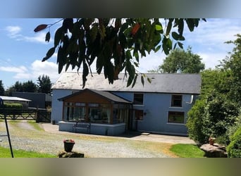 Equestrian Centres for sale in Mallow