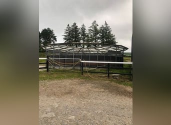 Equestrian Centres for sale in Mallow