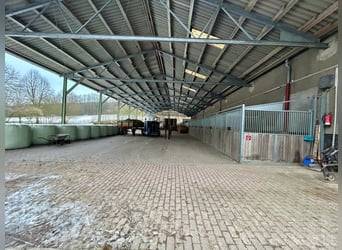 Gestütsanwesen in Alleinlage zu verkaufen