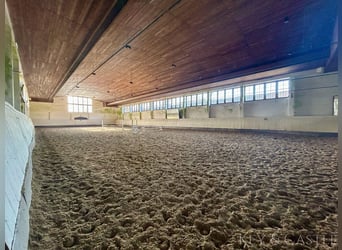 Gestütsanwesen in Alleinlage zu verkaufen