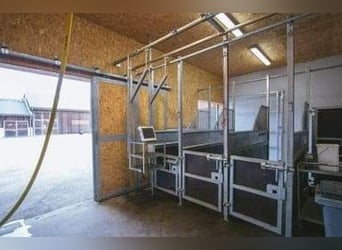 HÜBSCHES REITER-IMMOBILIEN IM ELSASS.