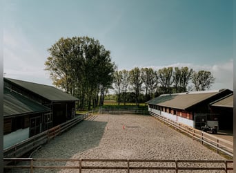 HÜBSCHES REITER-IMMOBILIEN IM ELSASS.