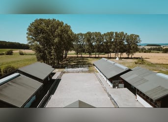 HÜBSCHES REITER-IMMOBILIEN IM ELSASS.