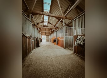 HÜBSCHES REITER-IMMOBILIEN IM ELSASS.