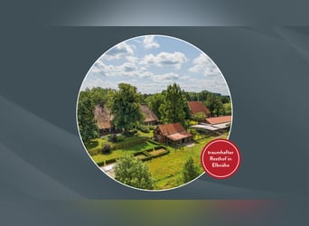 PROVISIONSFREI für Käufer – Traumhafter Resthof in Elbnähe