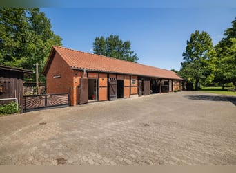 PROVISIONSFREI für Käufer – Traumhafter Resthof in Elbnähe