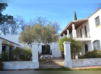 Ruhe pur - Finca in Vejer