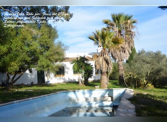 Ruhe pur - Finca in Vejer