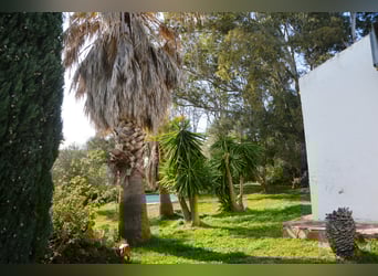 Ruhe pur - Finca in Vejer