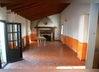 Ruhe pur - Finca in Vejer