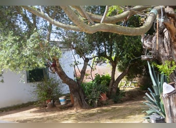 Schöne Finca mit besonderem Charme