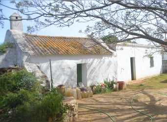 Schöne Finca mit besonderem Charme