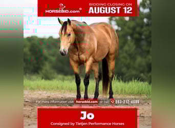 American Quarter Horse, Gelding, 9 years, 15.1 hh, Buckskin, in Bellevue, IA,