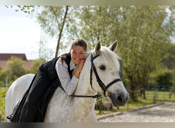 Ferien auf Gestüt d Issel