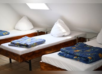Reiterferien im schönen Edertal - Reiterparadies Talhof