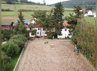 Reiterferien im schönen Edertal - Reiterparadies Talhof