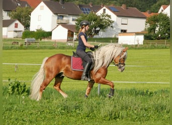 Reiterferien im schönen Edertal - Reiterparadies Talhof