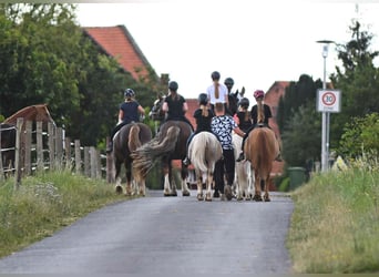 Reiterferien im schönen Edertal - Reiterparadies Talhof
