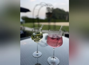 Ferienwohnung im Allgäu auf Gut Buchenhof
