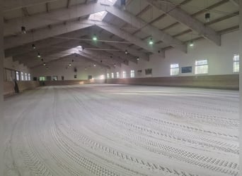 Ferienwohnung im Allgäu auf Gut Buchenhof