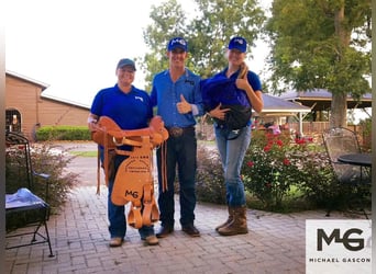 The 8-Week Wrangler | Horse Trainer Academy
