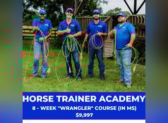 The 8-Week Wrangler | Horse Trainer Academy
