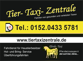 Pferdetaxi - Pferdetransport - Notfallfahrten 24h/365 Tage