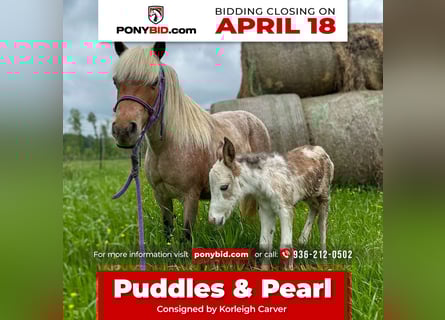 More ponies/small horses, Mare, 10 years, 9 hh, Roan-Red