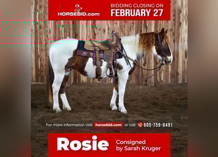 Quarter Pony, Mare, 11 years, Sorrel